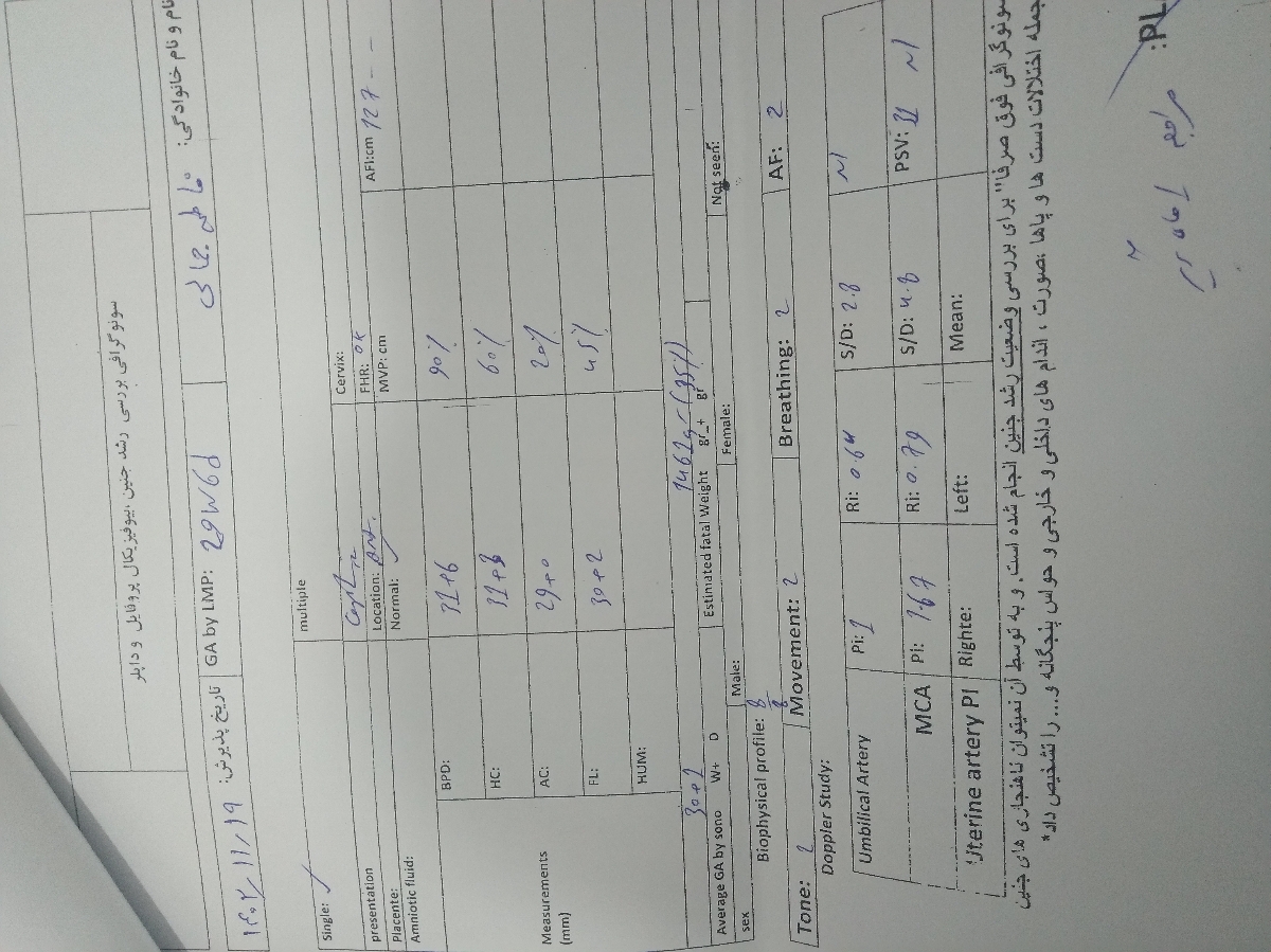 خون رسانی به جنین