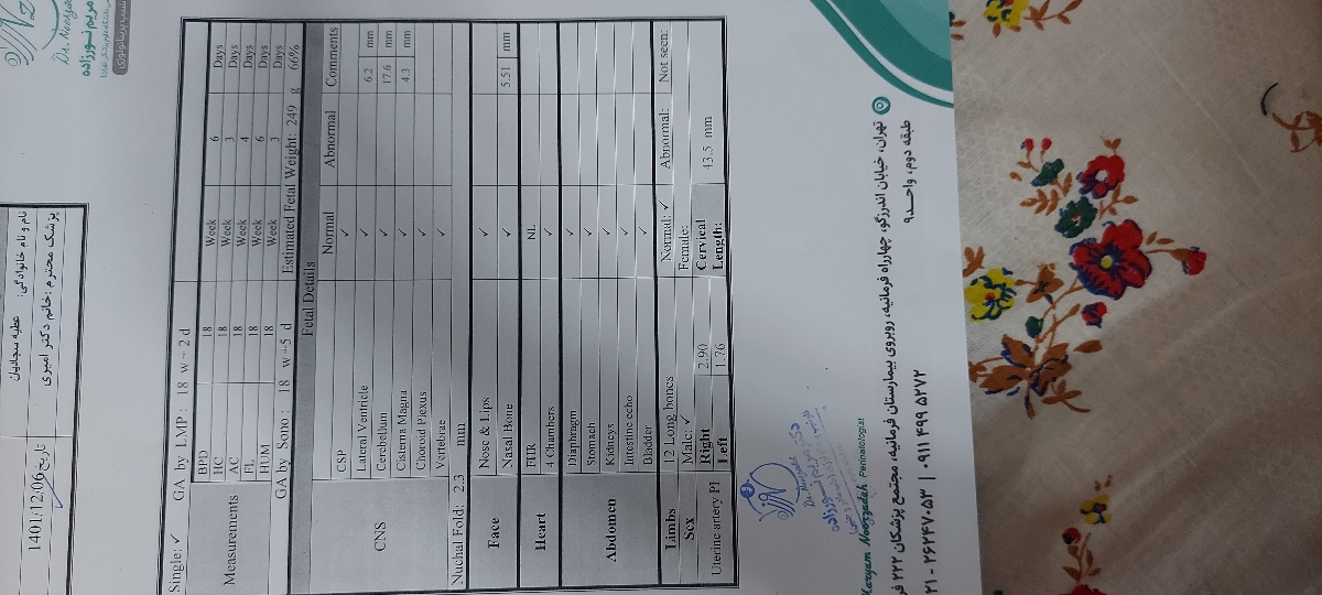 تفسیر سونوگرافی آنومالی و اکو قلب تفسیر سونوگرافی آنومالی و اکو قلب
