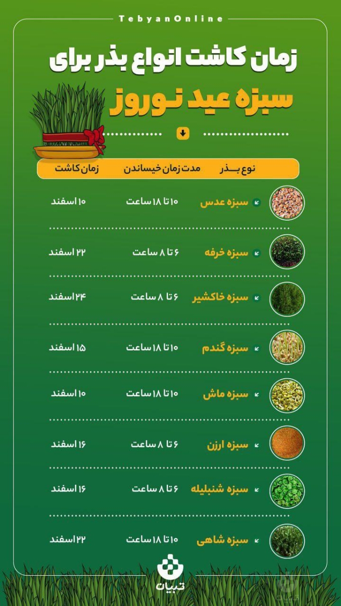 بچه ها سبزه عیدو چطور درست میکنید😁 بچه ها سبزه عیدو چطور درست میکنید😁