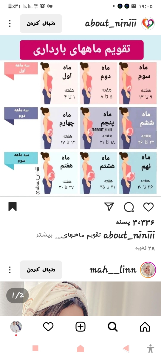 ۱۲ هفتگی یعنی چندماهکی
