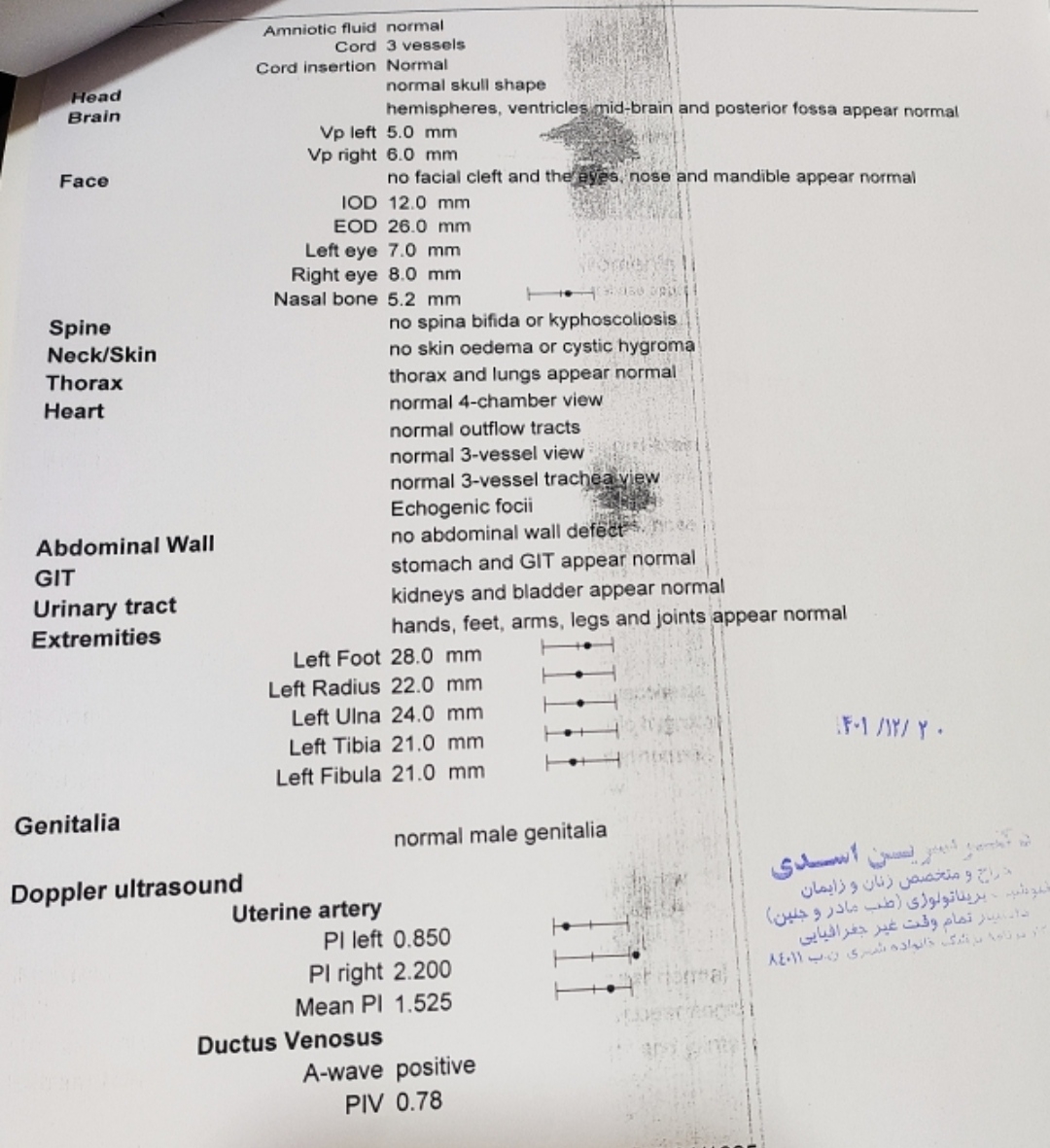 تفسیر سونوی انومالی اسکن تفسیر سونوی انومالی اسکن