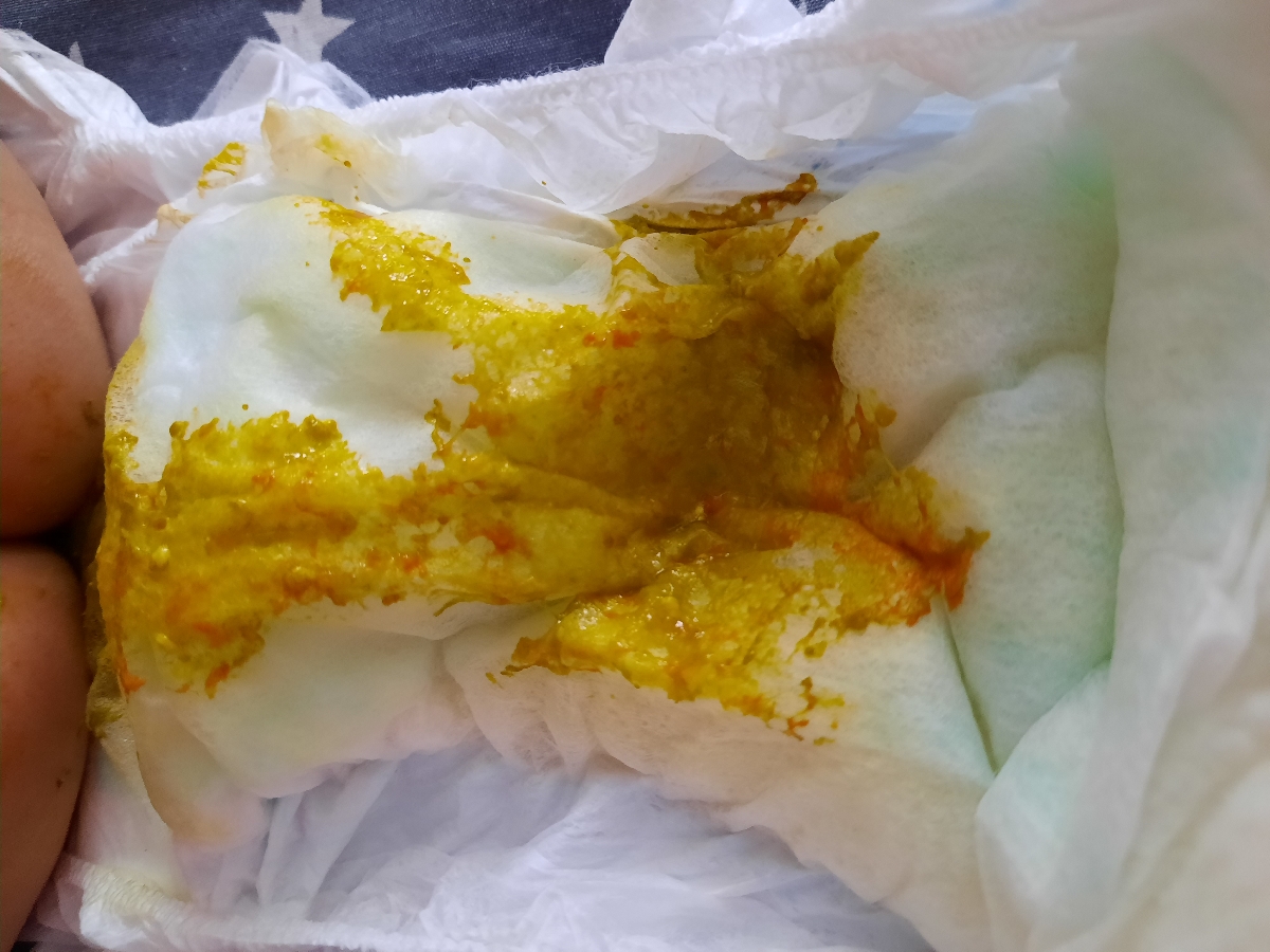 مدفوع نارنجی نوزاد + عکس مدفوع نارنجی نوزاد + عکس