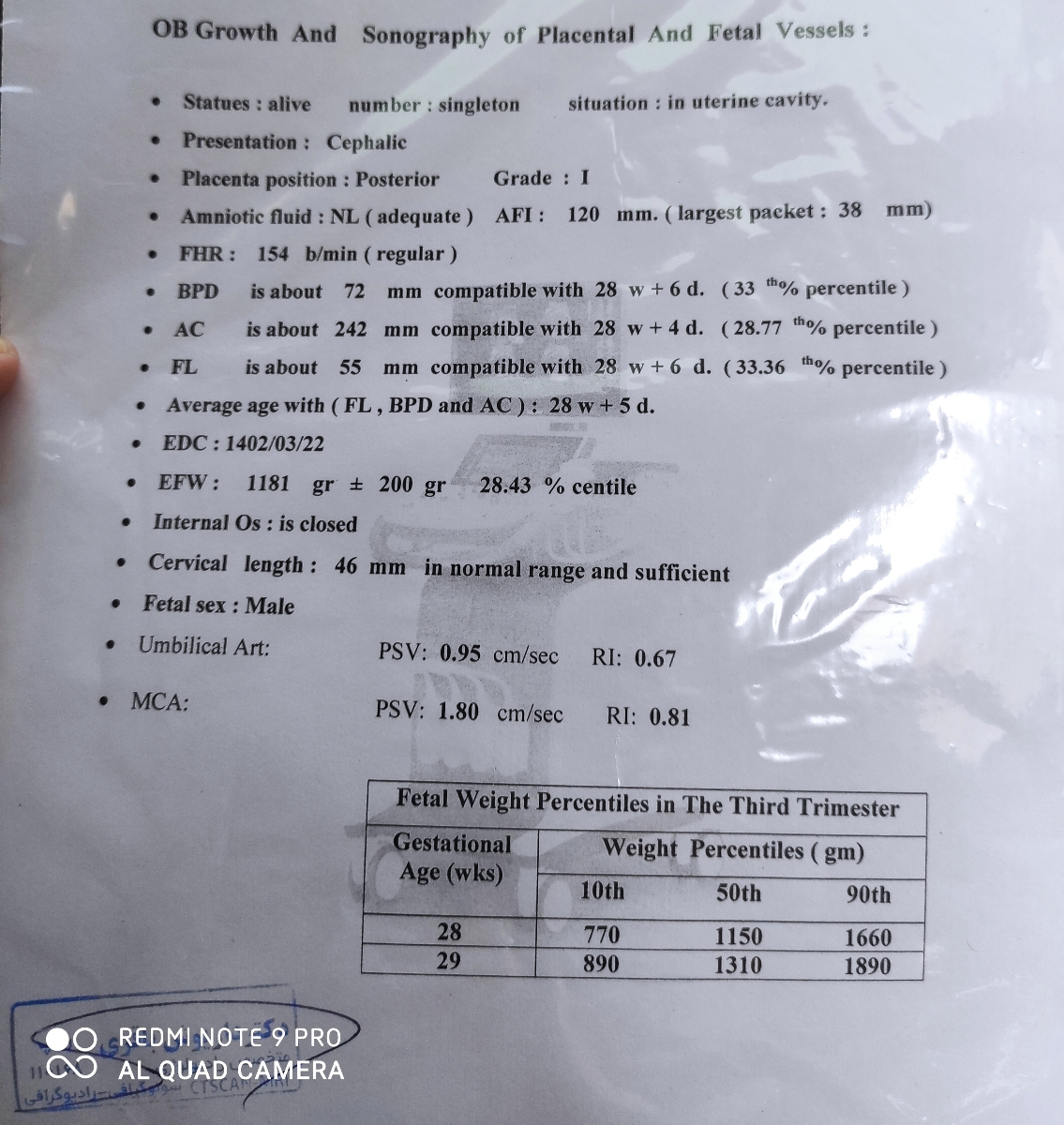 وزن جنین در هفته 27