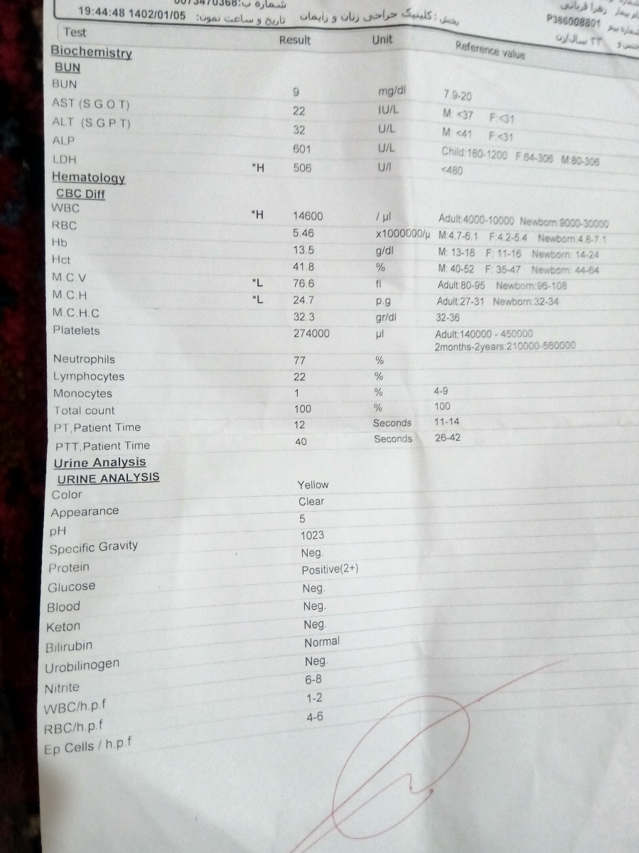 جواب سونو چی میشه جواب سونو چی میشه