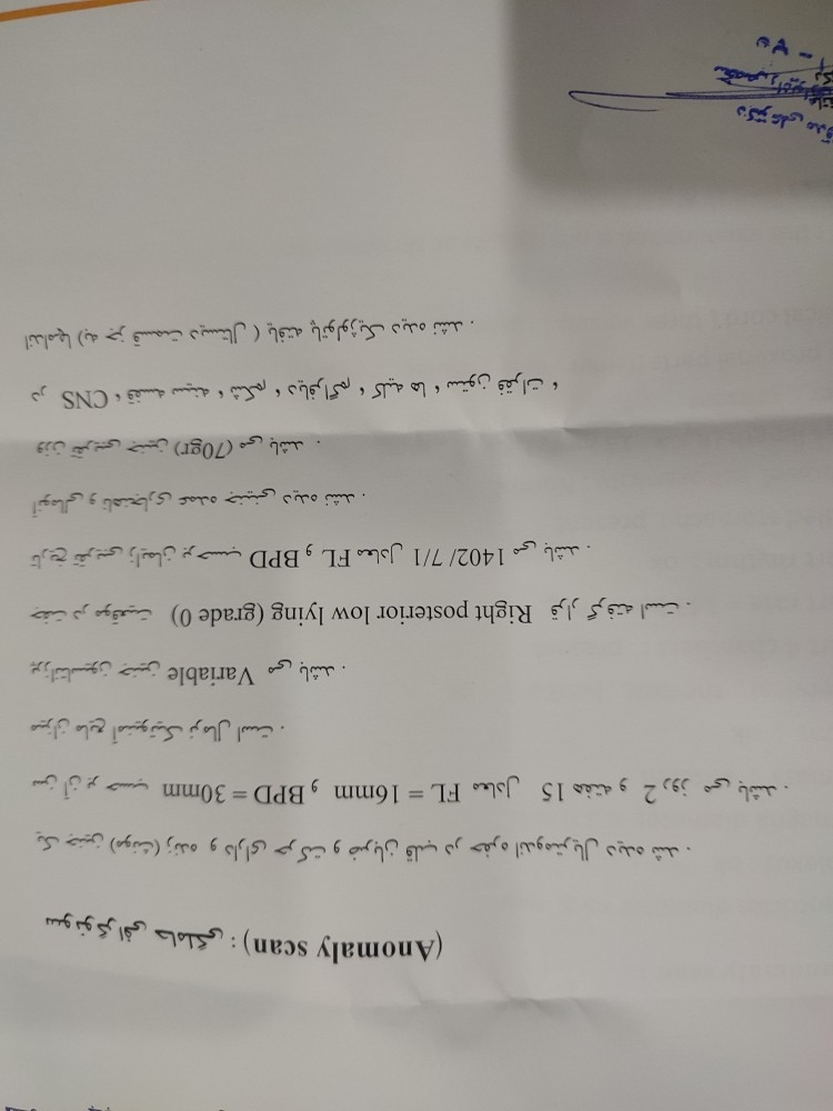 تفسیر سونوگرافی انومالی