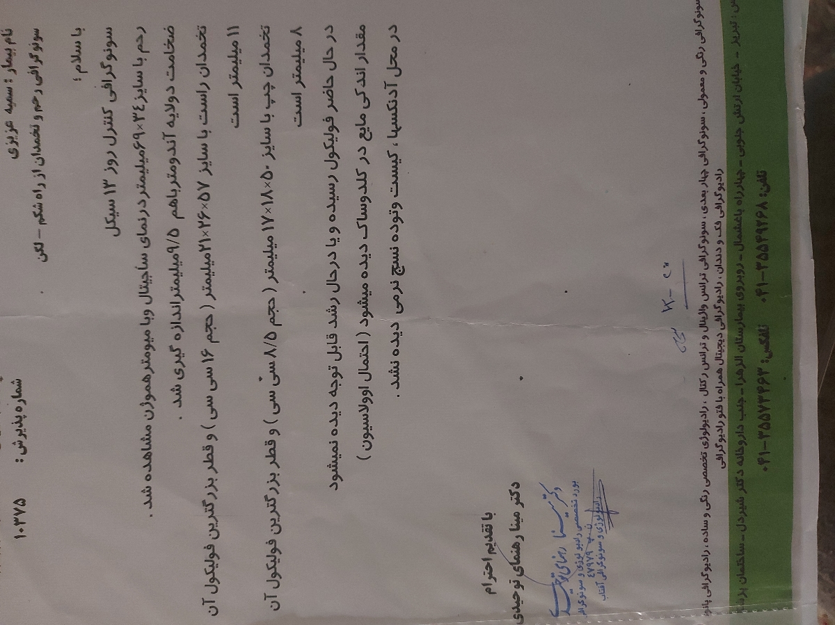 فولیکول ٢٣ و اقدام به بارداری