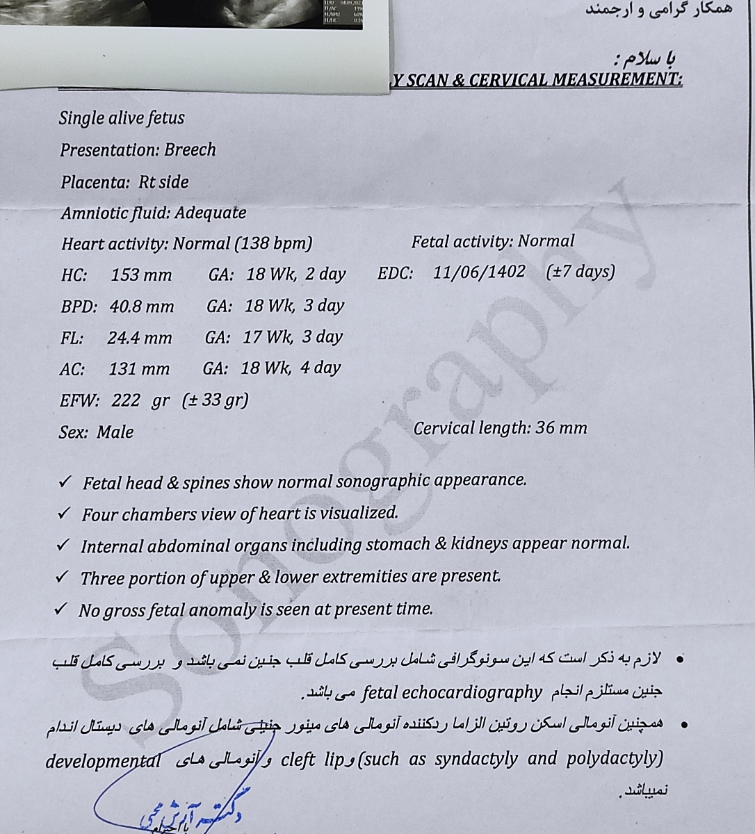 تفسیر سونو انومالی تفسیر سونو انومالی