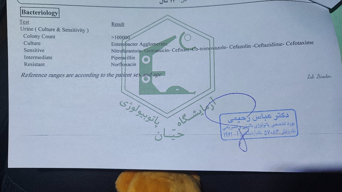 تفسیر آزمایش کشت ادرار تفسیر آزمایش کشت ادرار