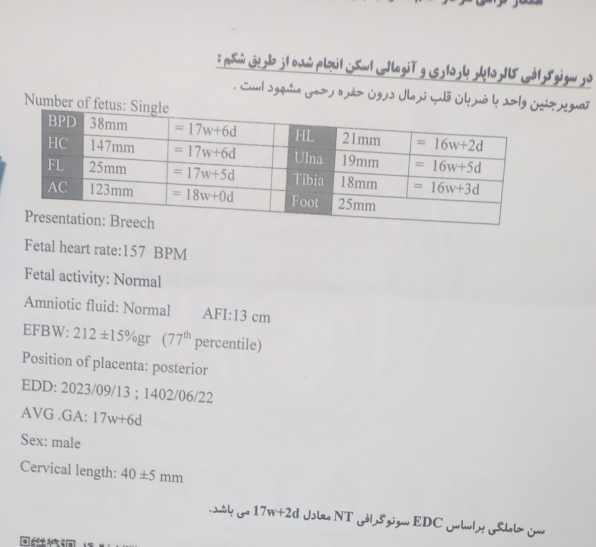 تفسیر سونو آنومالی هفته ۱۸