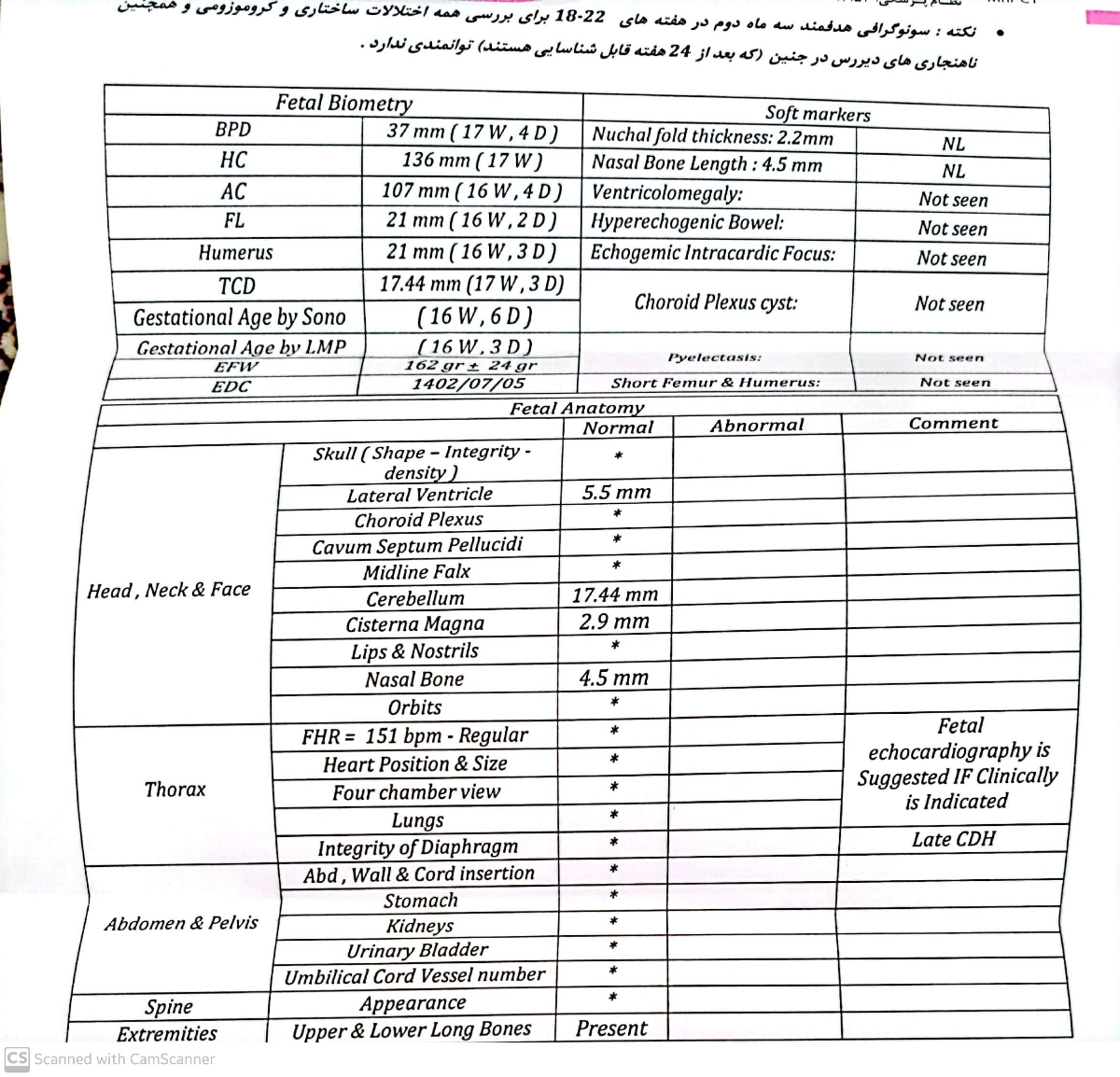 بررسی سونو هدفمند بارداری