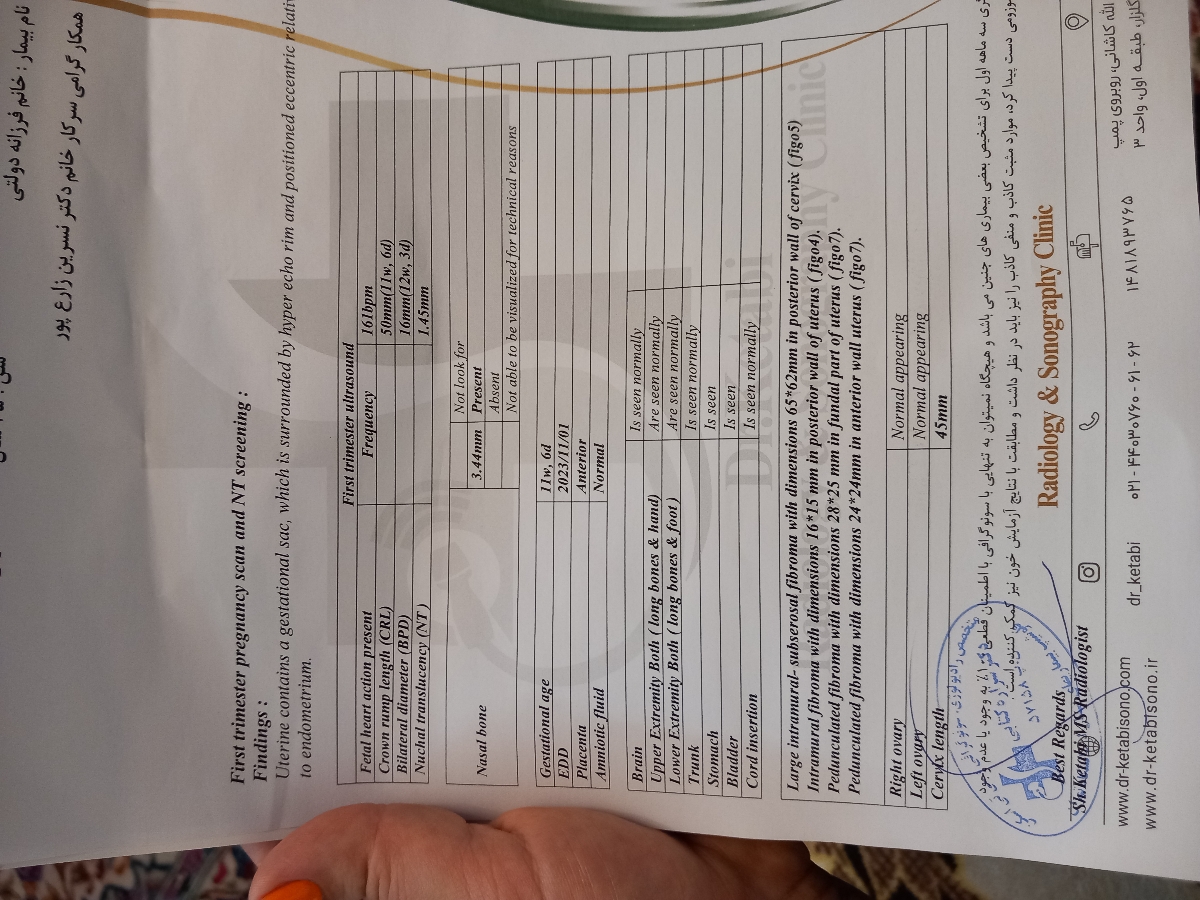 سونوگرافی ان تی بارداری