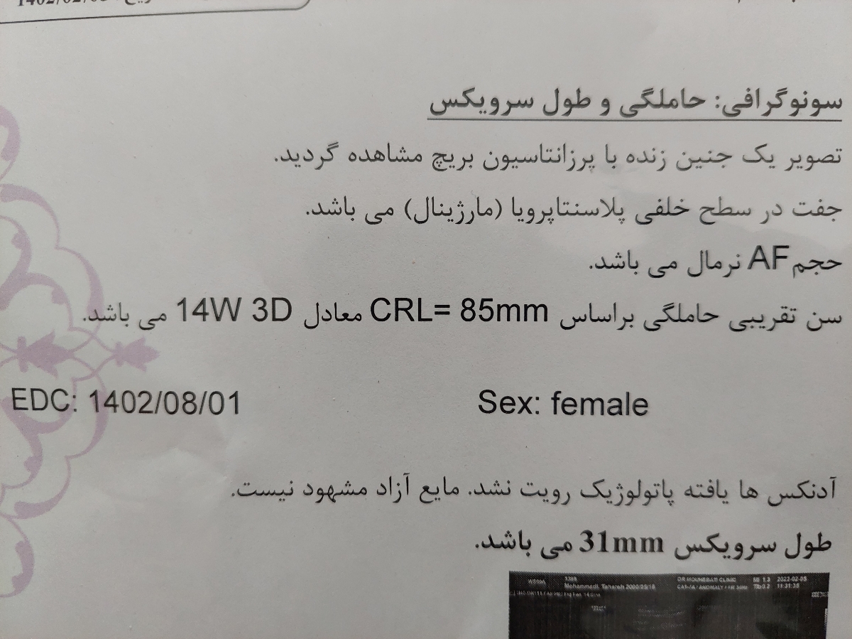 تفسیر سونوگرافی حاملگی ۱۵ هفته