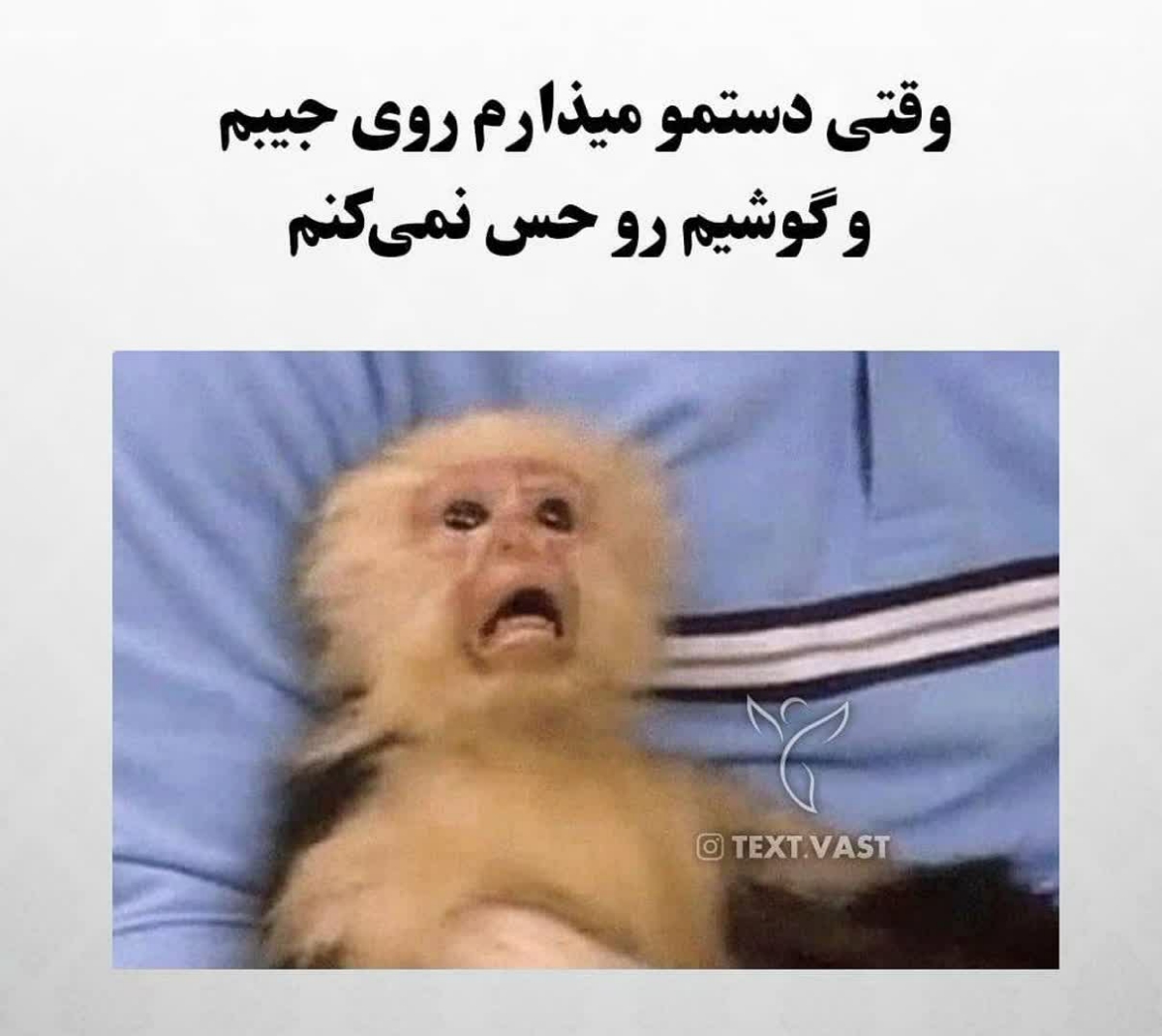 فقط محض خنده 😁