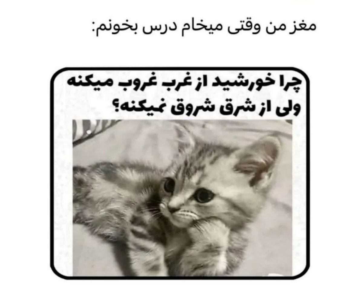 فقط محض خنده 😁