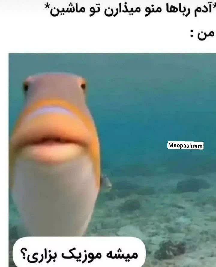 فقط محض خنده 😁