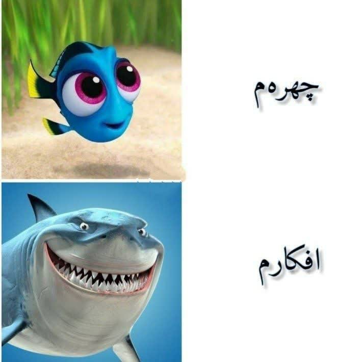 فقط محض خنده 😁