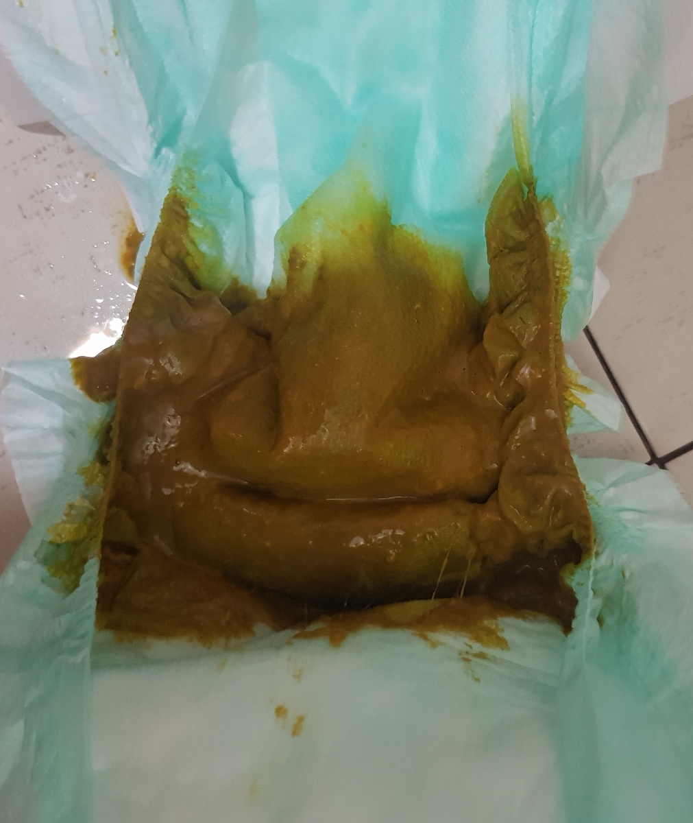 مدفوع سبز رنگ با شروع کمکی+عکس مدفوع سبز رنگ با شروع کمکی+عکس