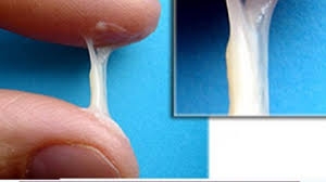 ترشحات در اوایل ما چهارم طبیعیه