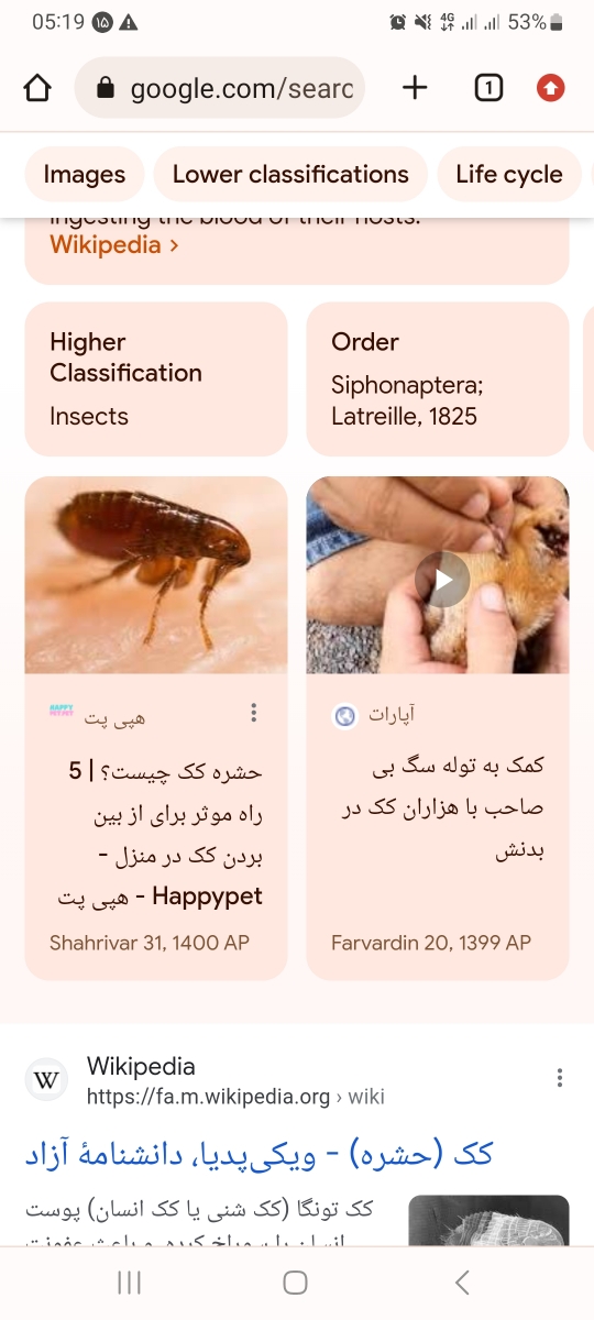 جوش دردناک رو پوست جوش دردناک رو پوست