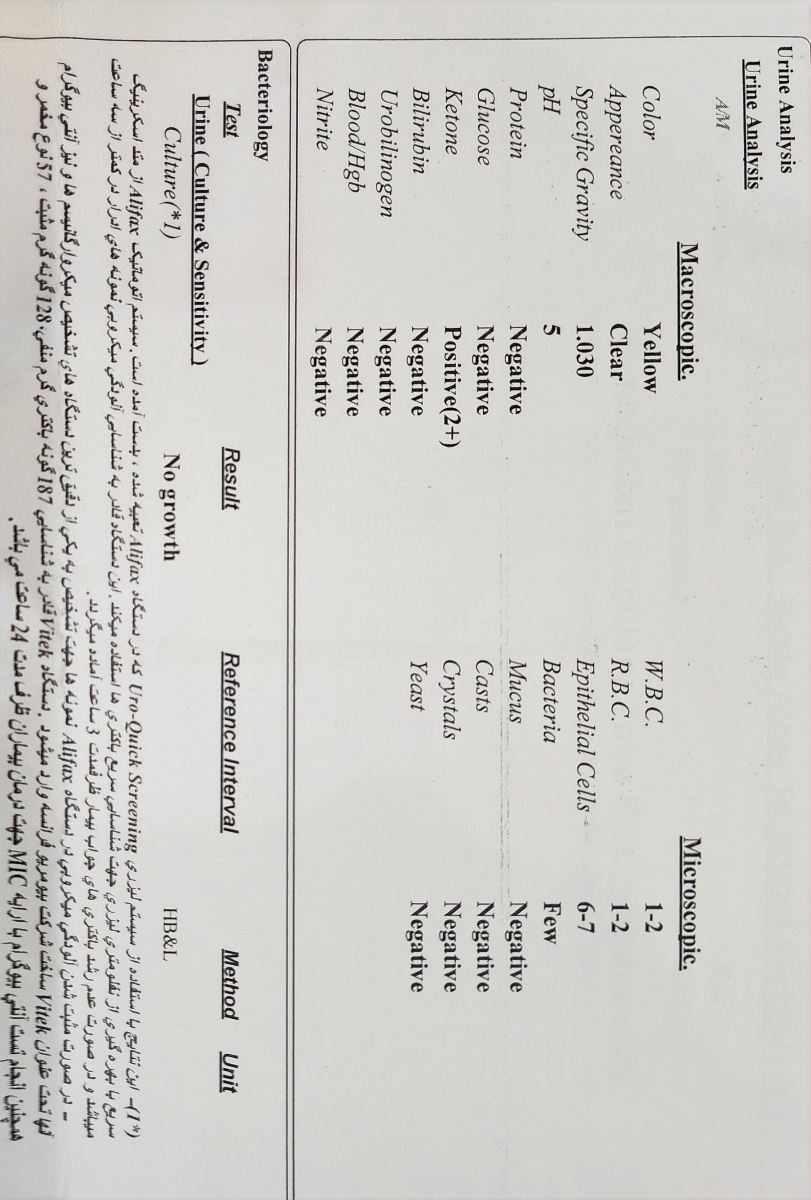 تفسیر ازمایش اولیه بارداری تفسیر ازمایش اولیه بارداری