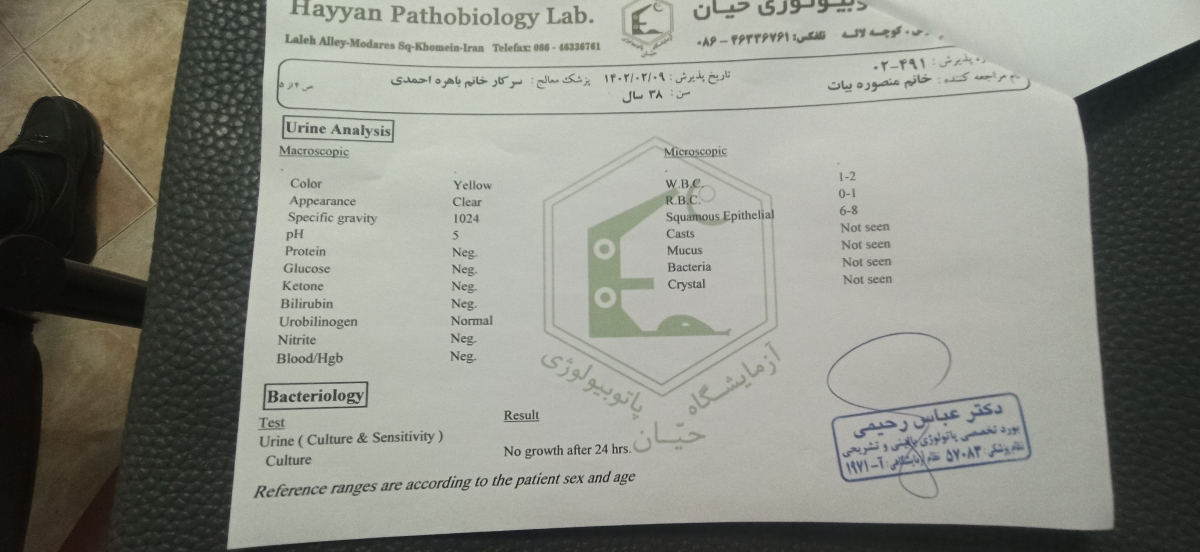 درد زیر شکم و کمر درد زیر شکم و کمر