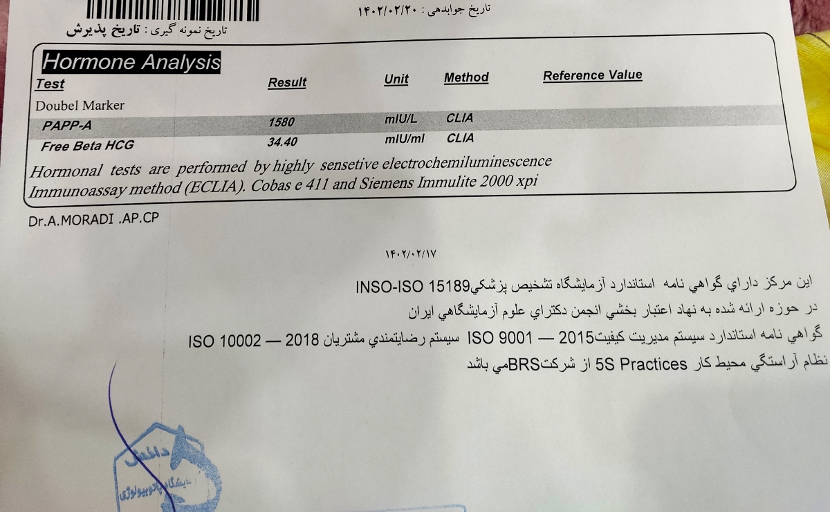 تفسیر سونوی Nt و تعیین جنسیت احتمالی تفسیر سونوی Nt و تعیین جنسیت احتمالی