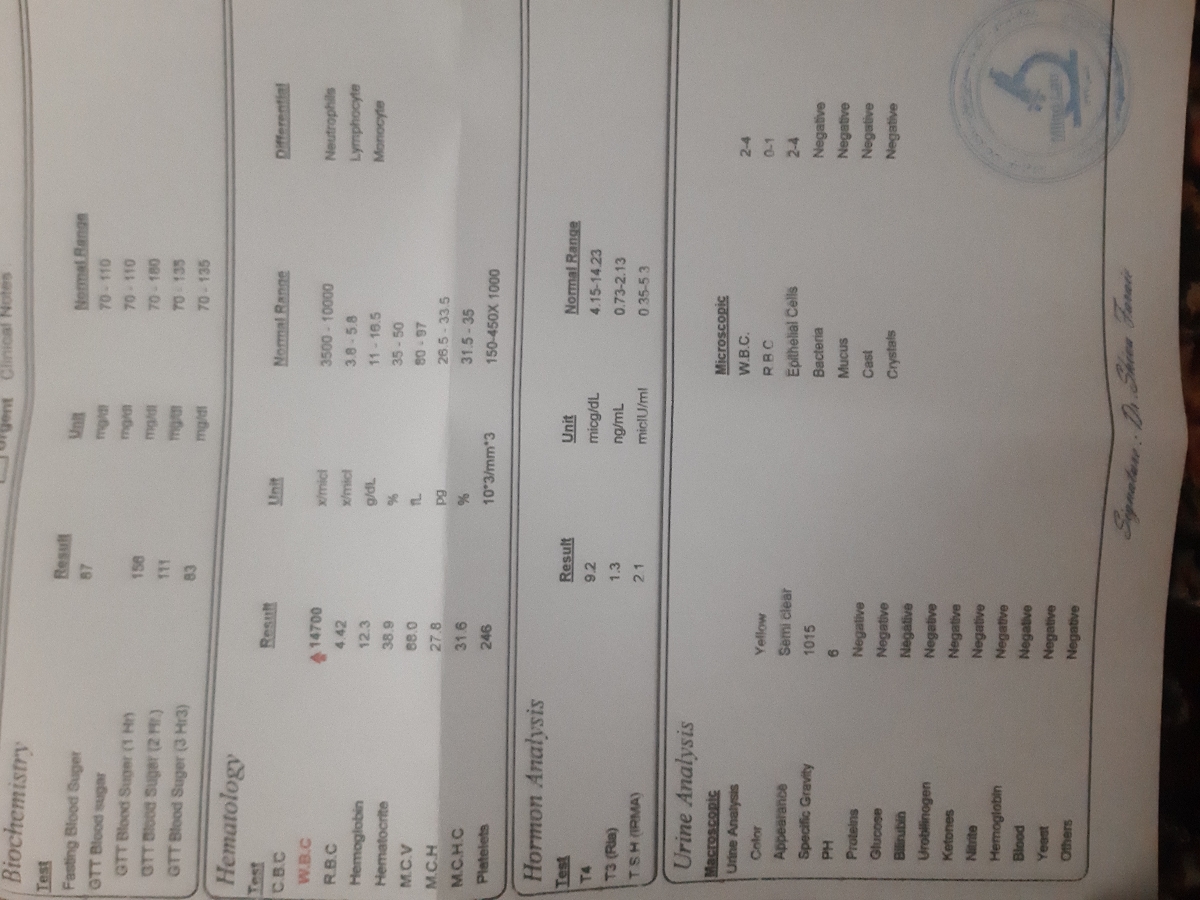 تفسیر سنو ۲۵ هفتگی تفسیر سنو ۲۵ هفتگی