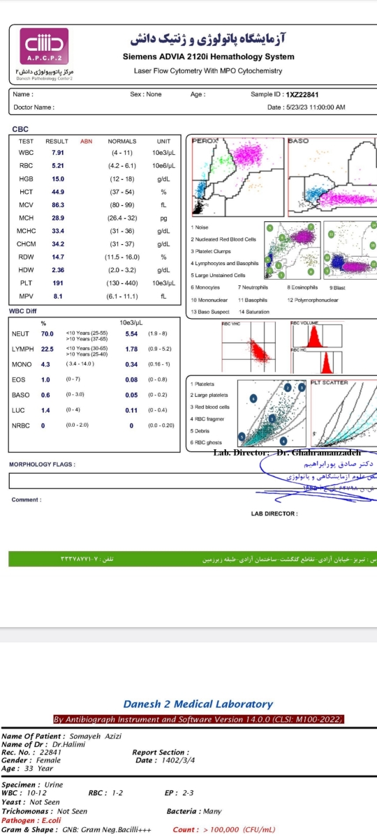 روند رشد بتا طی ٧٢ ساعت چه طوره؟ روند رشد بتا طی ٧٢ ساعت چه طوره؟