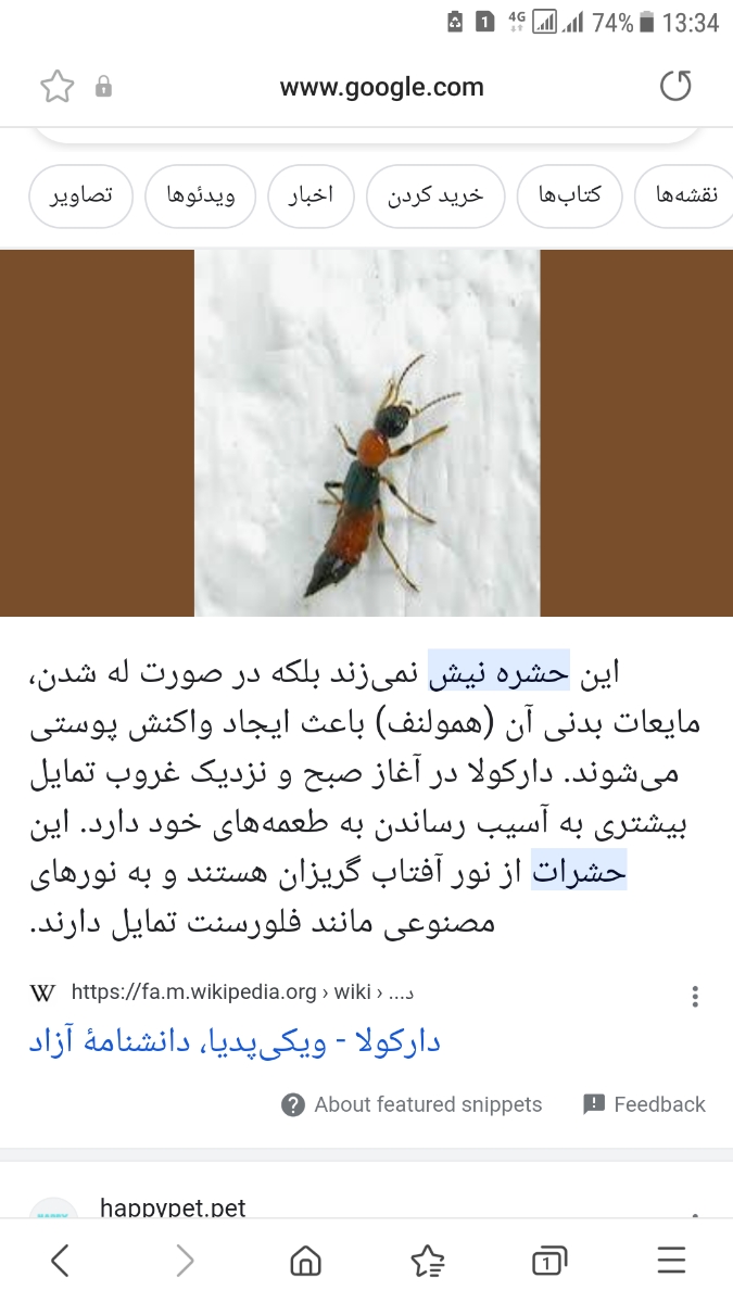 لک قرمز روی صورت کودک ۲۱ ماهه لک قرمز روی صورت کودک ۲۱ ماهه