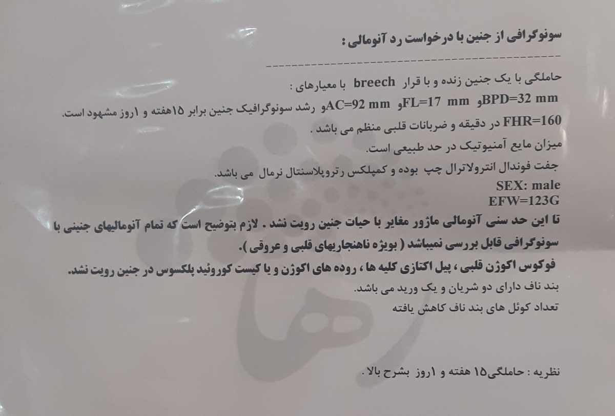 تفسیر سونو آنومالی ۱۵ هفته تفسیر سونو آنومالی ۱۵ هفته