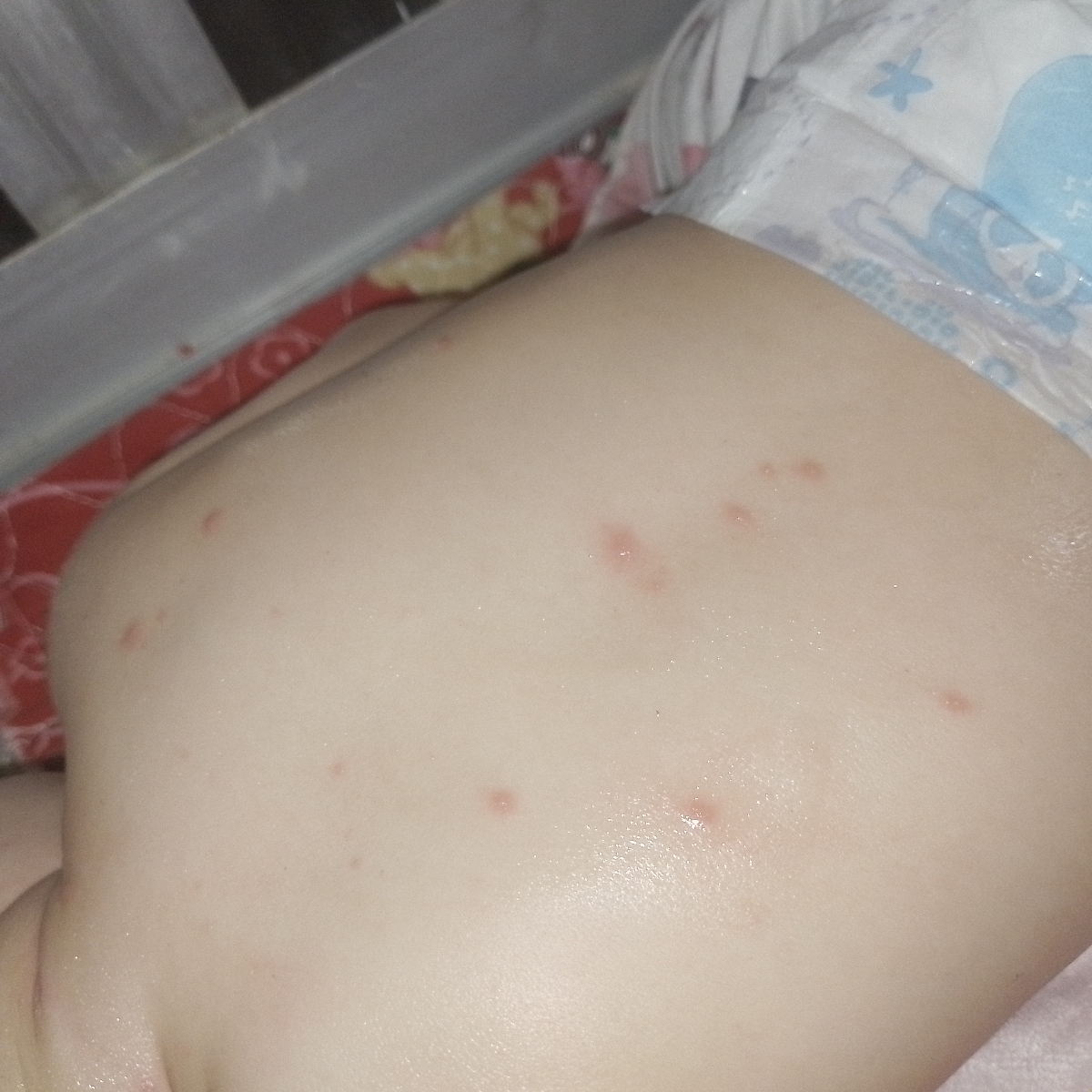 دخترم ابله مرغان گرفته چکارکنم؟ دخترم ابله مرغان گرفته چکارکنم؟