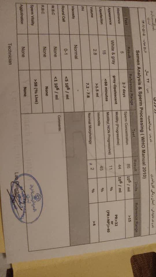 بارداری با یک لوله
