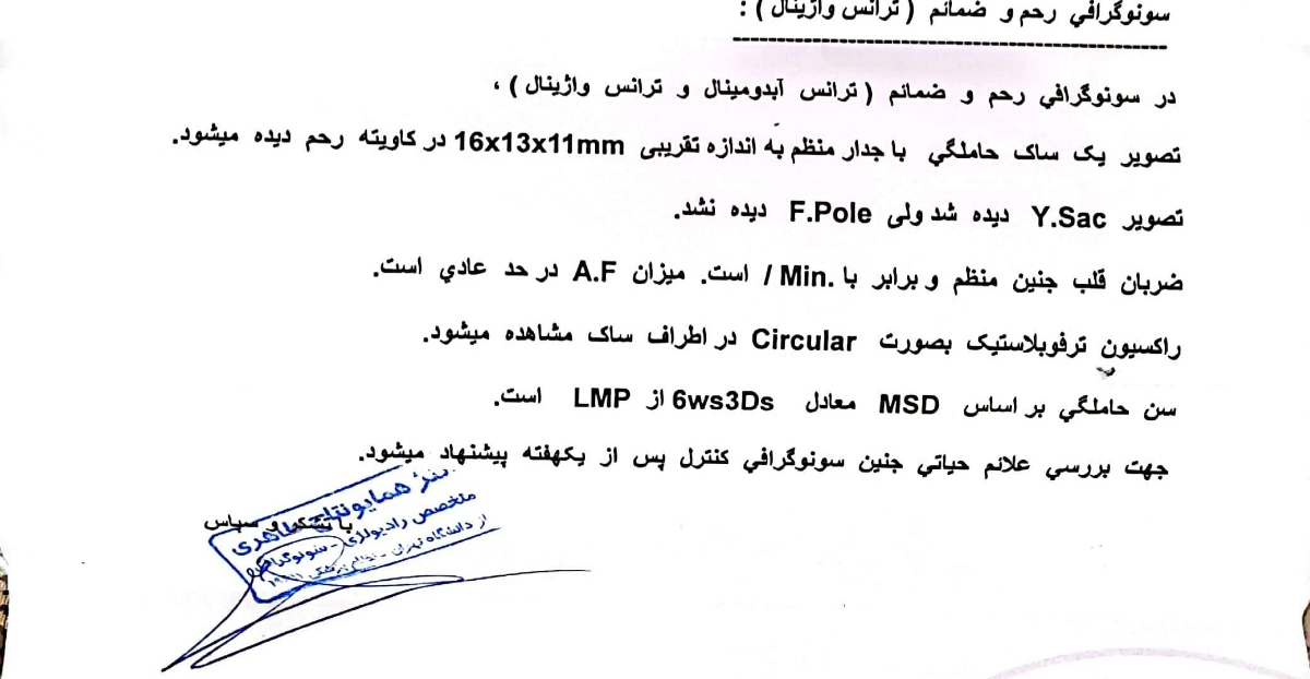 سلام عدم رویت فتال پل در هفته پنجم سلام عدم رویت فتال پل در هفته پنجم