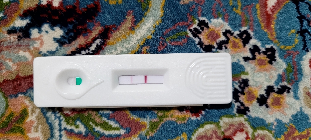 نتیجه بی بی چک بعد از یک ساعت نتیجه بی بی چک بعد از یک ساعت