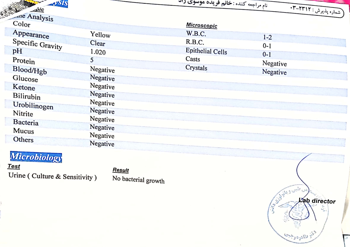 ازمایش اولیه بارداری ازمایش اولیه بارداری