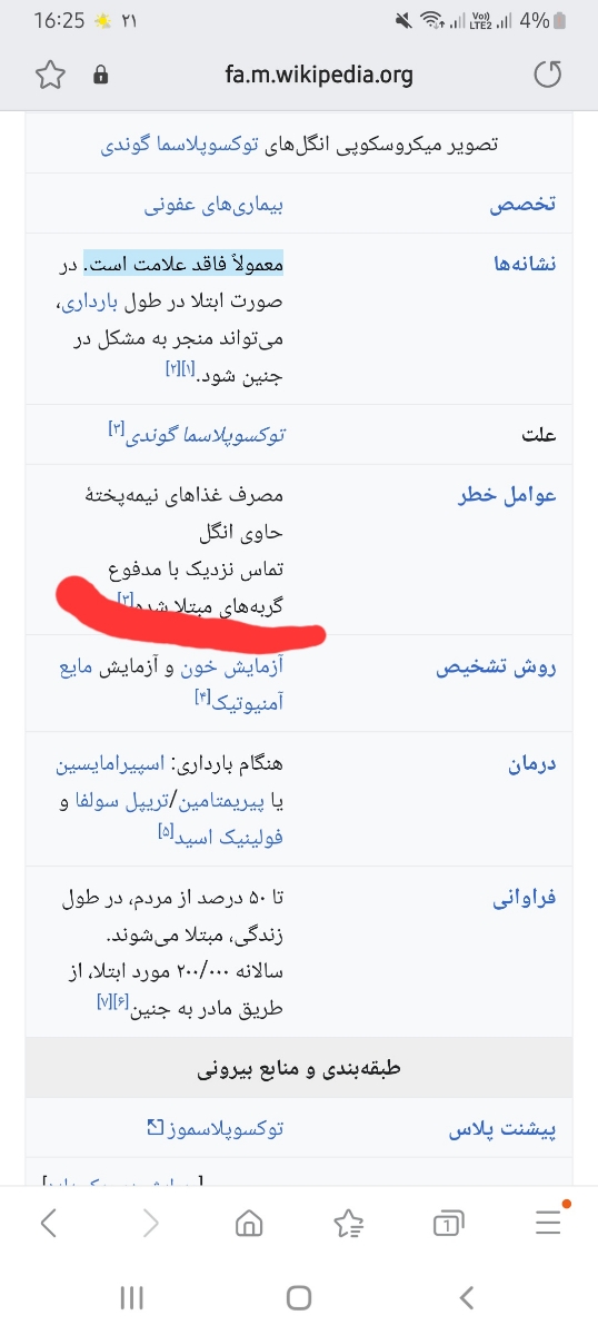 حیوان خونگی سرگرم کننده