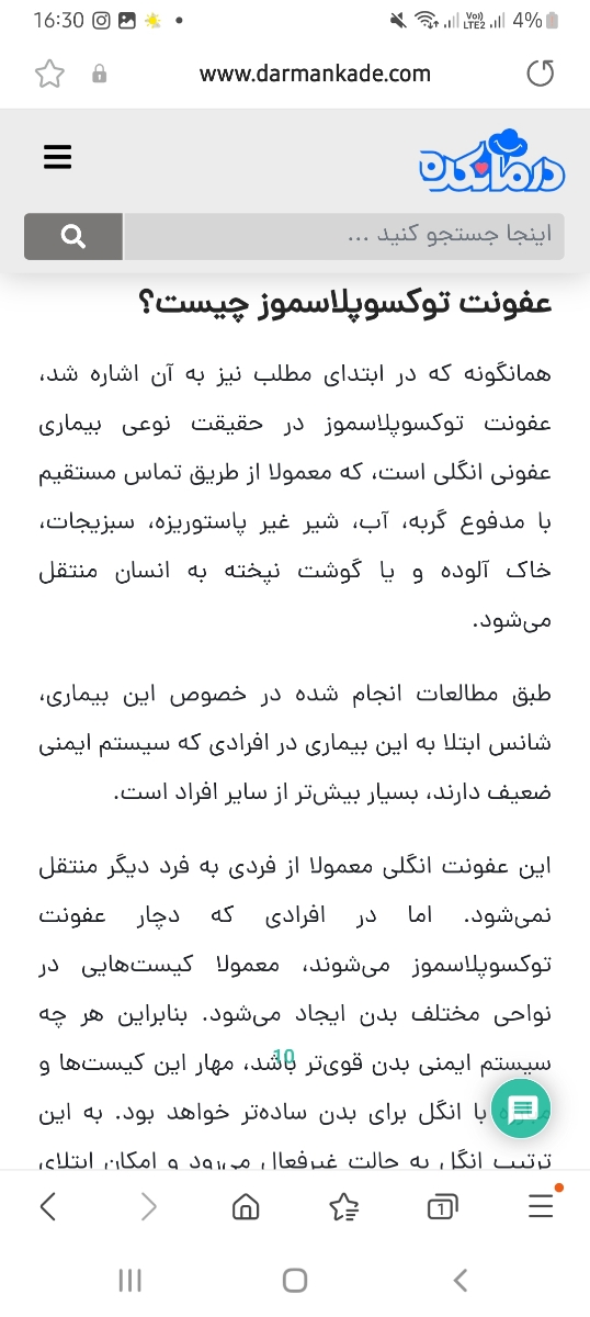 حیوان خونگی سرگرم کننده