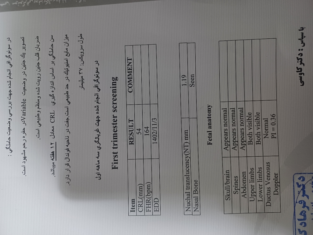 سونو ان تی غربالگری اول سونو ان تی غربالگری اول