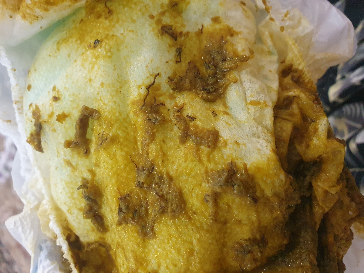مدفوع شیرخوار ۷ماه و نیمه مدفوع شیرخوار ۷ماه و نیمه