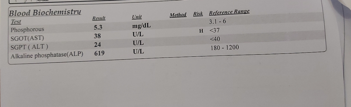 تفسیر جواب آزمایش یک سالگی