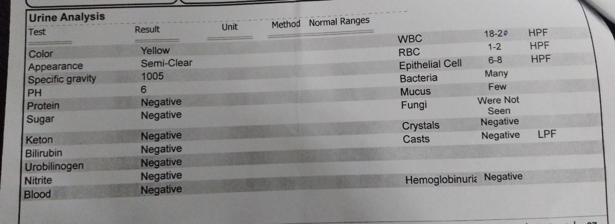 لطفا ازمایشم رو تفسیر کنید