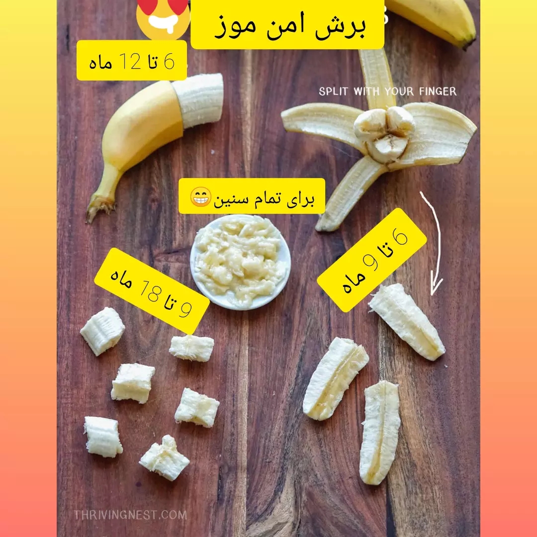 شرایط غذای کودک ۸ ماهه شرایط غذای کودک ۸ ماهه