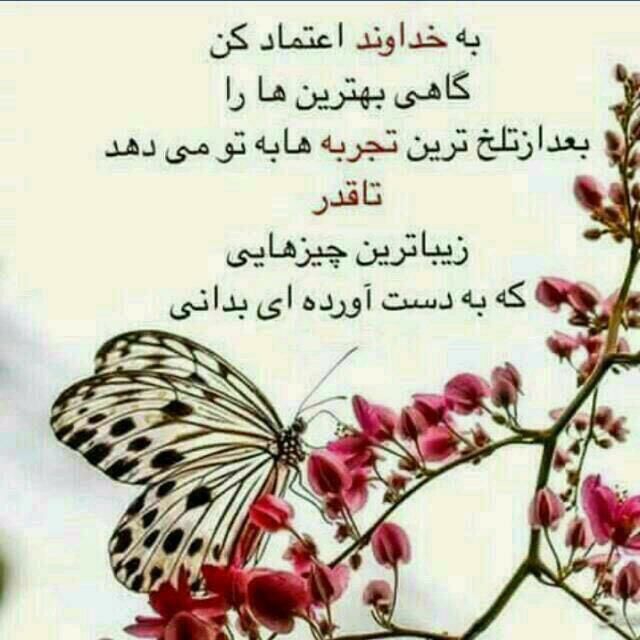 واقعا موندم تو کار خدا واقعا موندم تو کار خدا