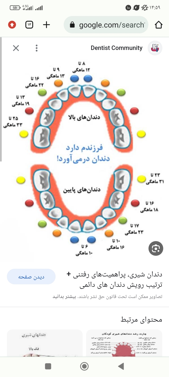 تعداد دندان کودک ۲ساله