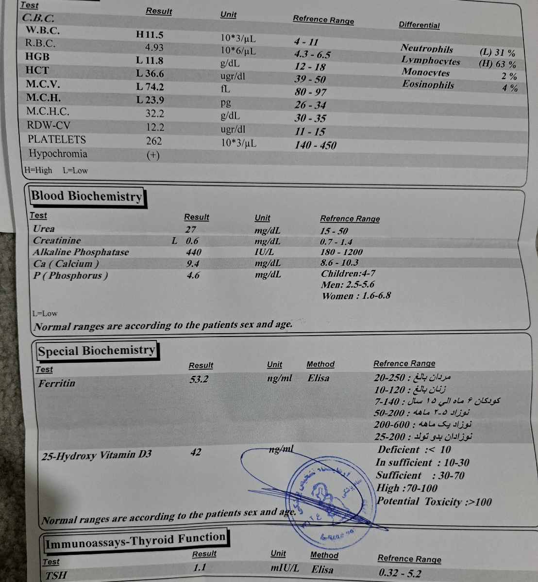 تفسیر آزمایش کودک۱۳ ماهه+عکس تفسیر آزمایش کودک۱۳ ماهه+عکس