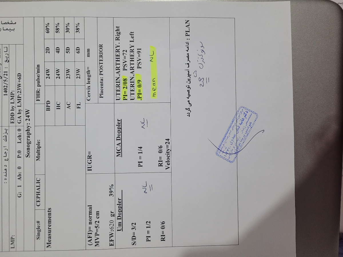 سونوگرافی کالر داپلر هفته۲۴ سونوگرافی کالر داپلر هفته۲۴