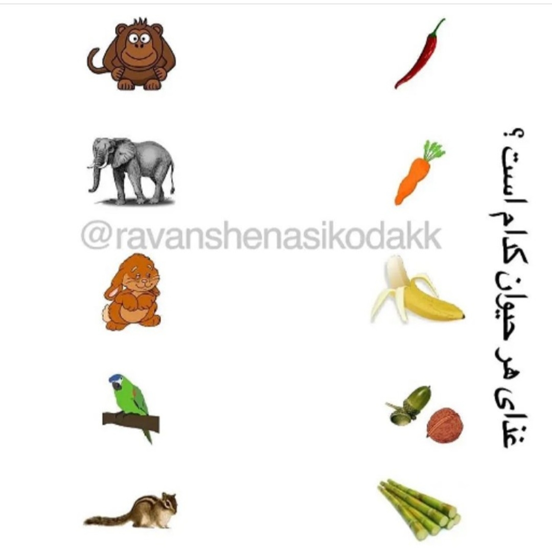 مامانایی ک بچه هاشون ۳ ساله نیم ۴ سالشونه میاین مامانایی ک بچه هاشون ۳ ساله نیم ۴ سالشونه میاین