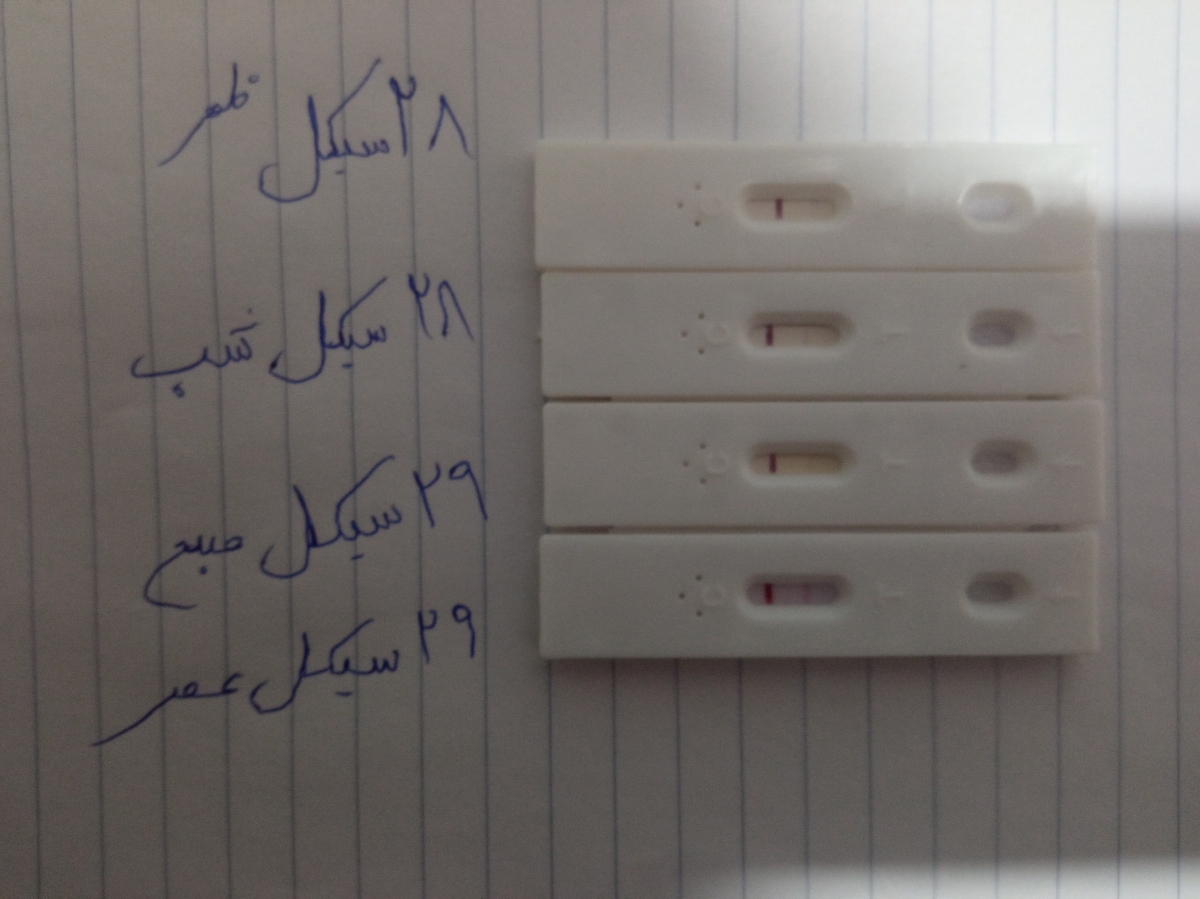 توقف ضربان قلب جنین و انجام سنوگرافی توقف ضربان قلب جنین و انجام سنوگرافی