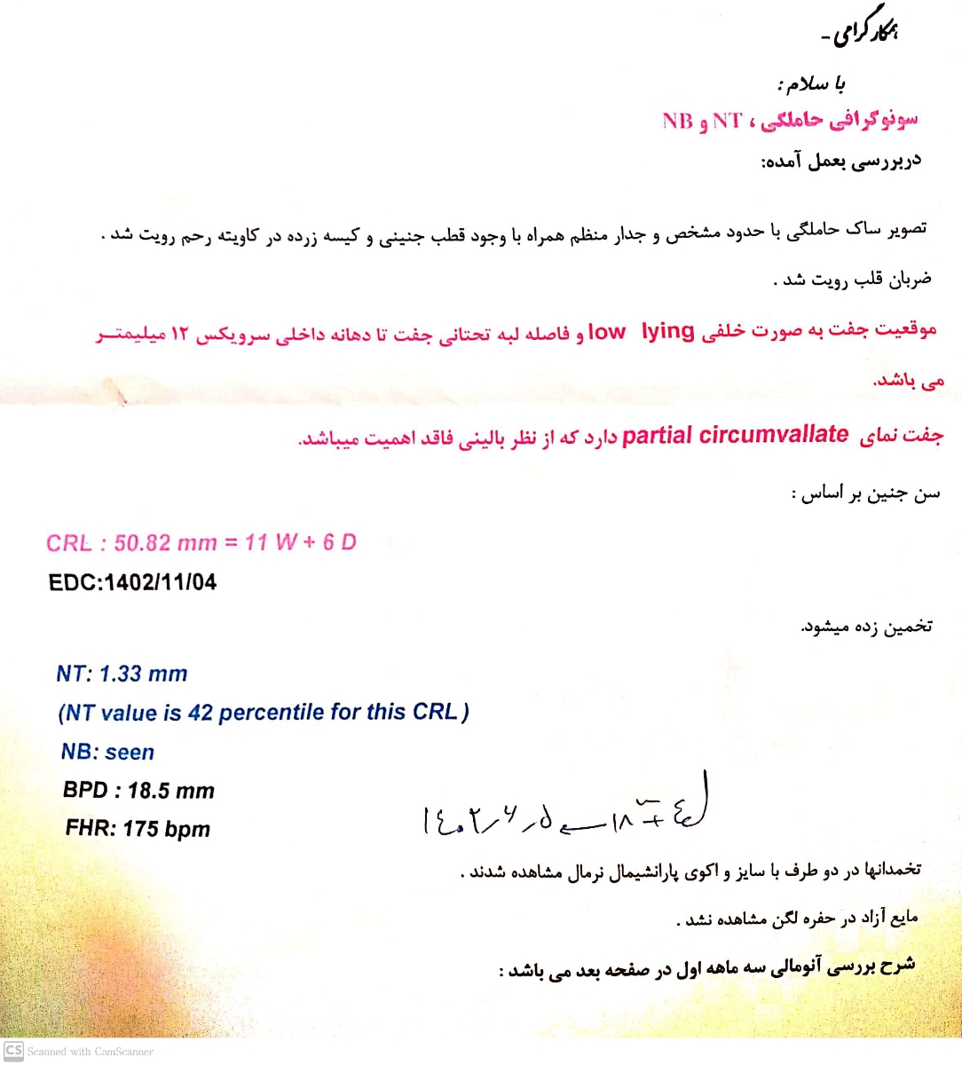 سونوگرافی آنومالی اسکن را بررسی کنید,چه اقدامی باید انجام بدم سونوگرافی آنومالی اسکن را بررسی کنید,چه اقدامی باید انجام بدم