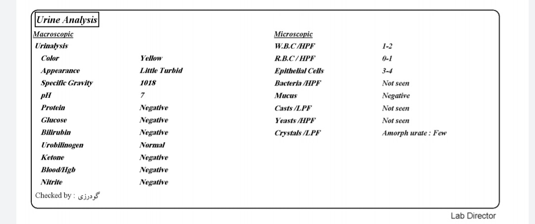 آزمایش عفونت ادرار